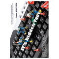 IT's hidden face: Everything you always wanted to know about Information Technology. A look behind the scenes - Paperback