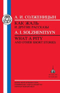Solzhenitsyn: What a Pity - Paperback
