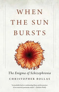When the Sun Bursts: The Enigma of Schizophrenia - Paperback