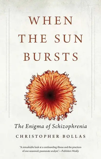 When the Sun Bursts: The Enigma of Schizophrenia - Paperback
