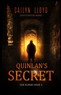 Quinlan's Secret - Paperback