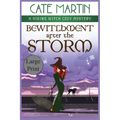Bewitchment After the Storm: A Viking Witch Cozy Mystery - Paperback