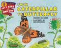 From Caterpillar to Butterfly - Paperback