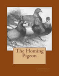 The Homing Pigeon - Paperback