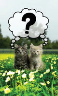 Discrete Password Logbook: "Kitty Cats" Edition - Hardcover