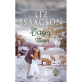 Ten Days in Town: Christian Christmas Romance - Paperback