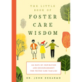 The Little Book of Foster Care Wisdom: 365 Days of Inspiration and Encouragement for Foster Care Families - Paperback