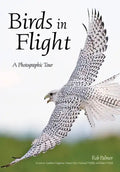 Birds in Flight: A Photographic Essay of Hawks, Ducks, Eagles, Owls, Hummingbirds, & More - Paperback