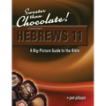 Hebrews 11: A Big Picture Guide to the Bible - Paperback