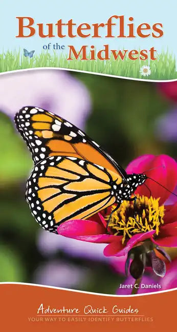 Butterflies of the Midwest: Identify Butterflies with Ease - Spiral