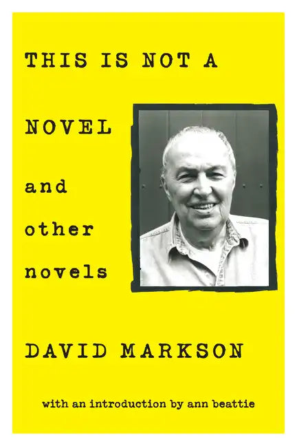 This Is Not a Novel and Other Novels - Paperback