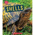 Shells (Learn About: Animal Coverings) - Paperback