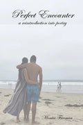 Perfect Encounter: a reintroduction into poetry - Paperback
