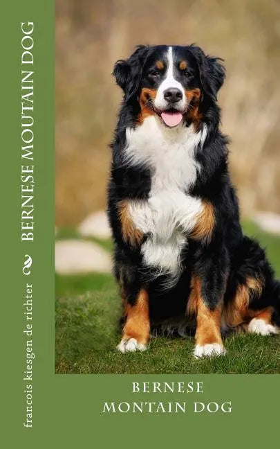 bernese moutain dog - Paperback
