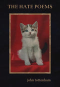 The Hate Poems - Paperback