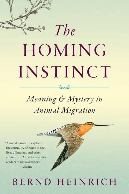 The Homing Instinct: Meaning and Mystery in Animal Migration - Paperback