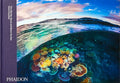 Two Worlds: Above and Below the Sea - Hardcover