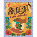 Brujer?a: A Little Introduction - Hardcover