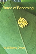 Bardo of Becoming - Paperback