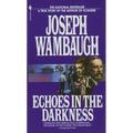 Echoes in the Darkness - Paperback