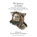 My Journey to Endor - Paperback