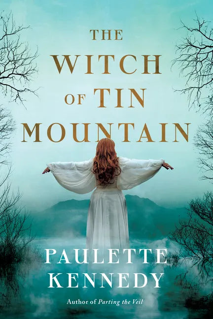 The Witch of Tin Mountain - Paperback