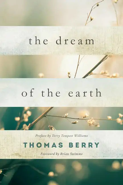 The Dream of the Earth - Paperback