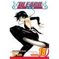 Bleach, Vol. 18 - Paperback