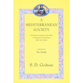 A Mediterranean Society, Volume III: The Jewish Communities of the Arab World as Portrayed in the Documents of the Cairo Geniza, the Family Volume 6 - Paperback
