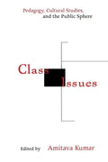 Class Issues: Pedagogy, Cultural Studies, and the Public Sphere - Paperback
