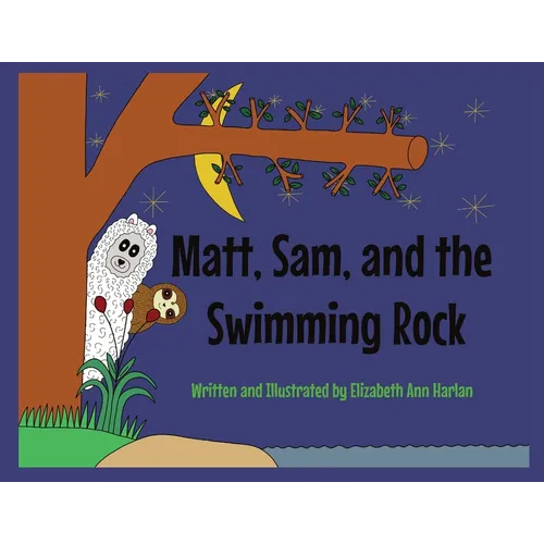 Matt, Sam, and the Swimming Rock - Paperback