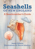 Seashells of New England: A Beachcomber's Guide - Paperback