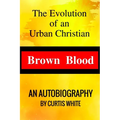 Brown Blood: The Evolution of an Urban Christian - Paperback