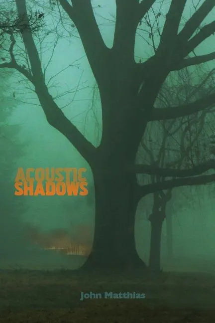 Acoustic Shadows - Paperback