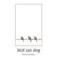 bird can sing - Paperback