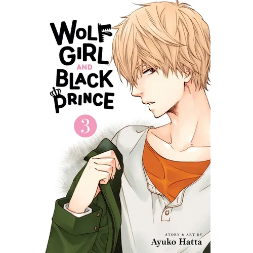 Wolf Girl and Black Prince, Vol. 3 - Paperback