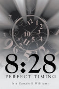 8: 28: Perfect Timing - Paperback