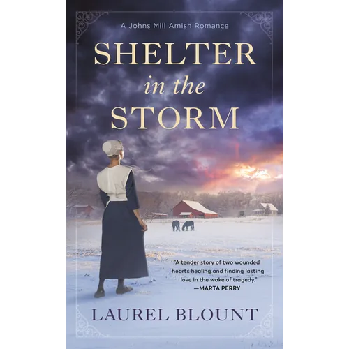 Shelter in the Storm - Paperback