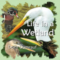 Life In A Wetland - Paperback