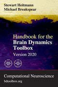 Handbook for the Brain Dynamics Toolbox: Version 2020 - Paperback