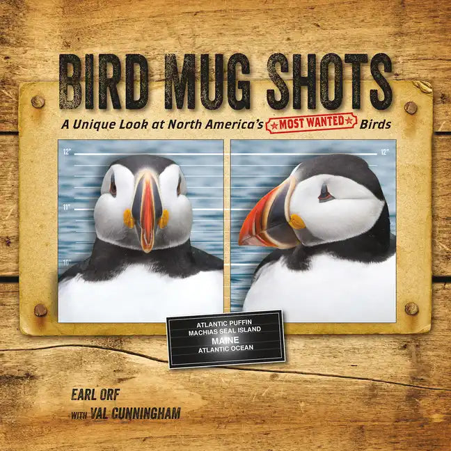 Bird Mug Shots: A Unique Look at North America's Most Wanted Birds - Paperback