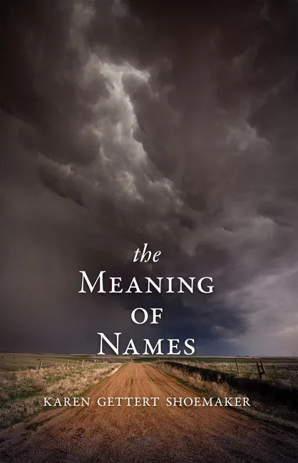 The Meaning of Names - Paperback