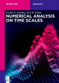 Numerical Analysis on Time Scales - Paperback