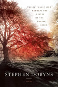 The Day's Last Light Reddens the Leaves of the Copper Beech - Paperback