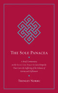 The Sole Panacea: A Brief Commentary on the Seven-Line Prayer to Guru Rinpoche That Cures the Suffering of the Sickness of Karma and Defilement - Paperback