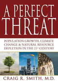 A Perfect Threat - Paperback