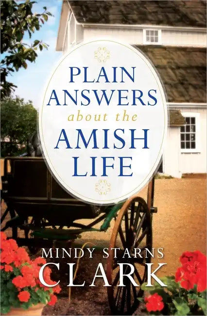 Plain Answers about the Amish Life - Paperback