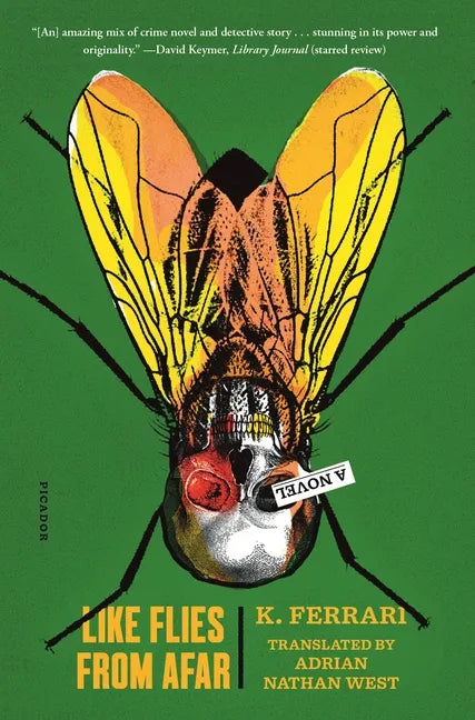 Like Flies from Afar - Paperback