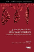 Great Expectations, Slow Transformations: Incremental Change in Post-Crisis Regulation - Paperback
