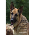 What I Learned About Leadership From My Dog - Paperback